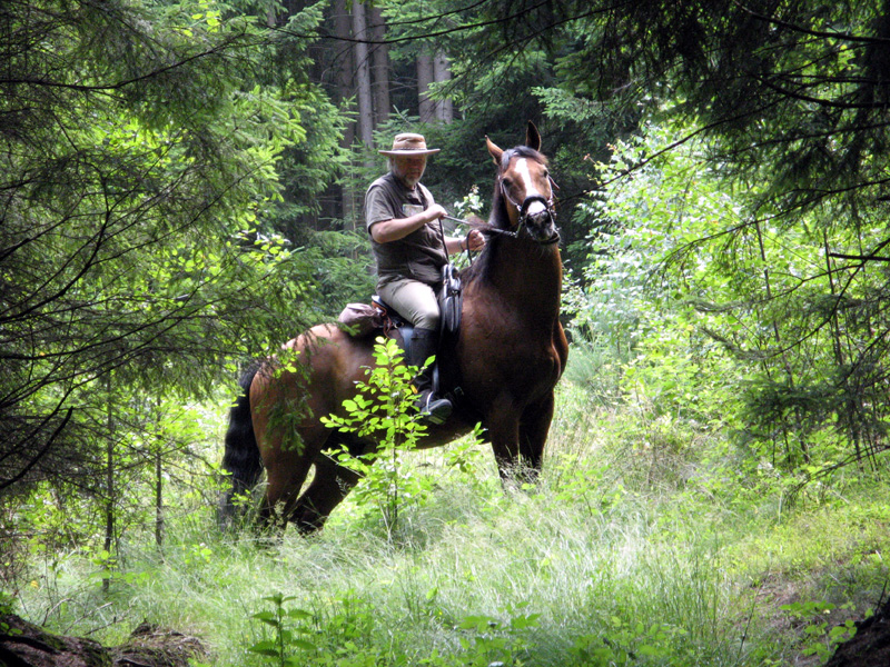 13.jpg - Lonesome Cowboy ....