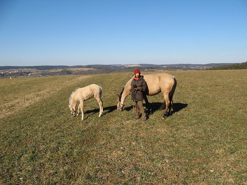 04.jpg - Du führst uns auf die Weide