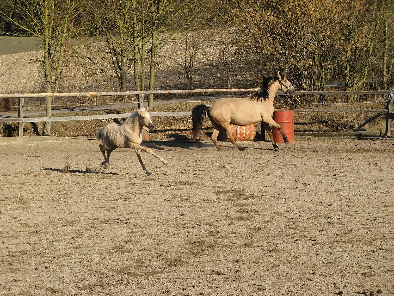 09.jpg - ich hab schon alle Gänge drauf, da bin ich schon so gut, wie Mama