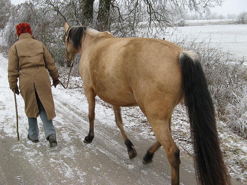 22b.jpg - Es ist mühsam mit dem dicken Bauch und dem Schnee, wird Zeit, daß das zu Ende geht.